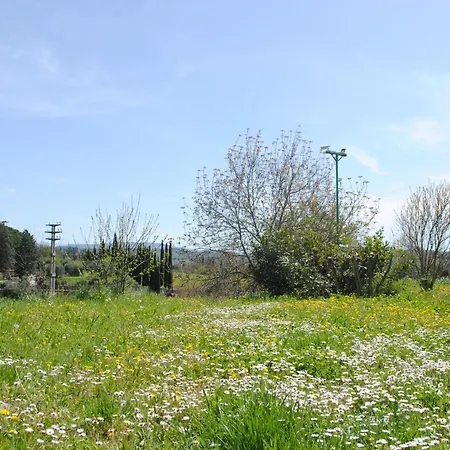 Fattoria Di Malavolta * Florence