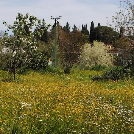 Fattoria Di Malavolta Florence