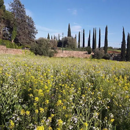 Appartamento Fattoria Di Malavolta