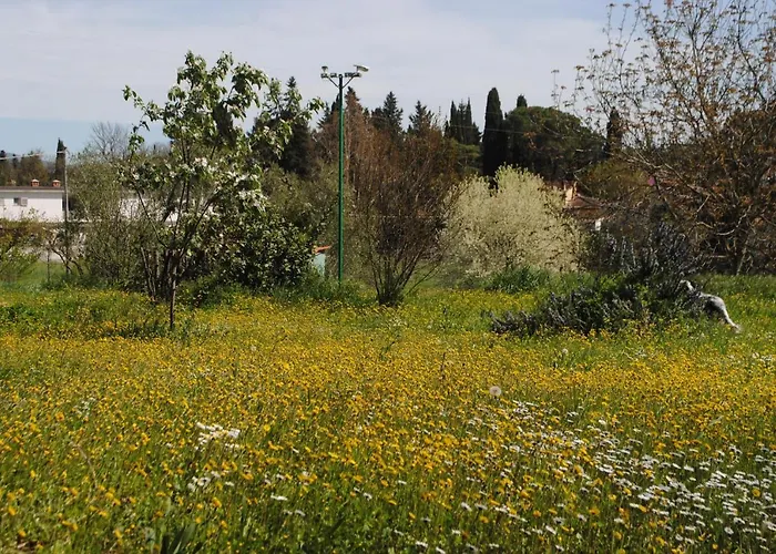 Fattoria Di Malavolta Florence