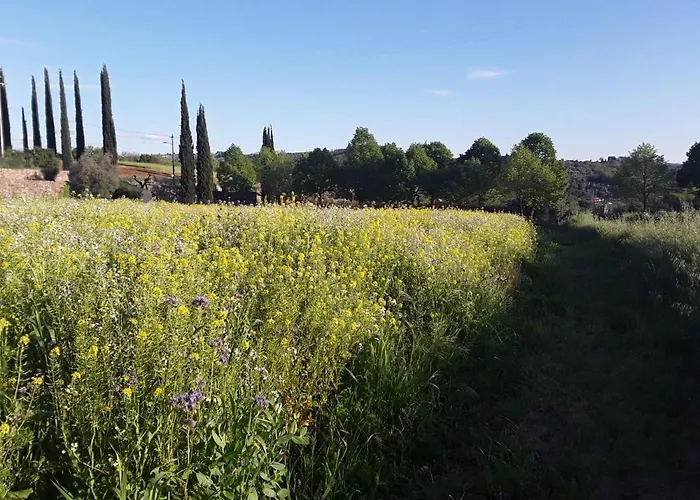 Fattoria Di Malavolta Apartment
