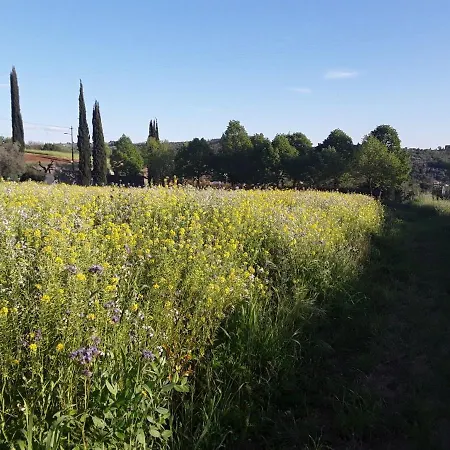 Fattoria Di Malavolta Apartmán
